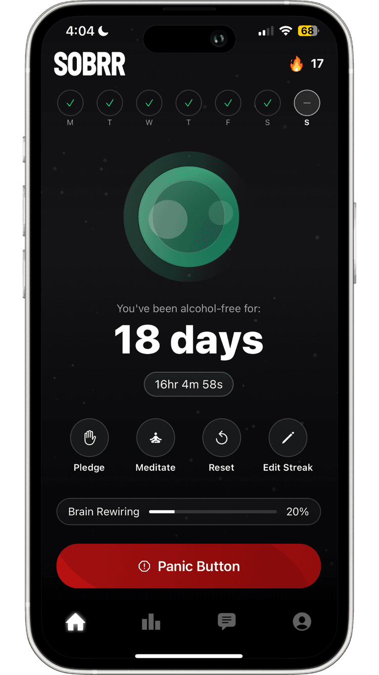 SOBRR app preview